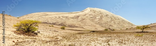 Εκτύπωση καμβά Cerro Blanco sand dune near Nasca panoramic view