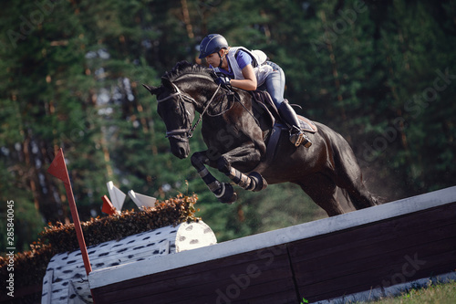 black horse with woman rider jumping over obstacle during eventing cross country competition in summer