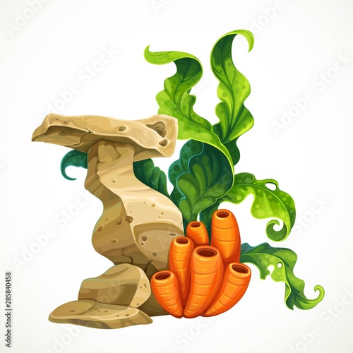 Orange sponges near sandstone and green algae sea life object isolated on white background
