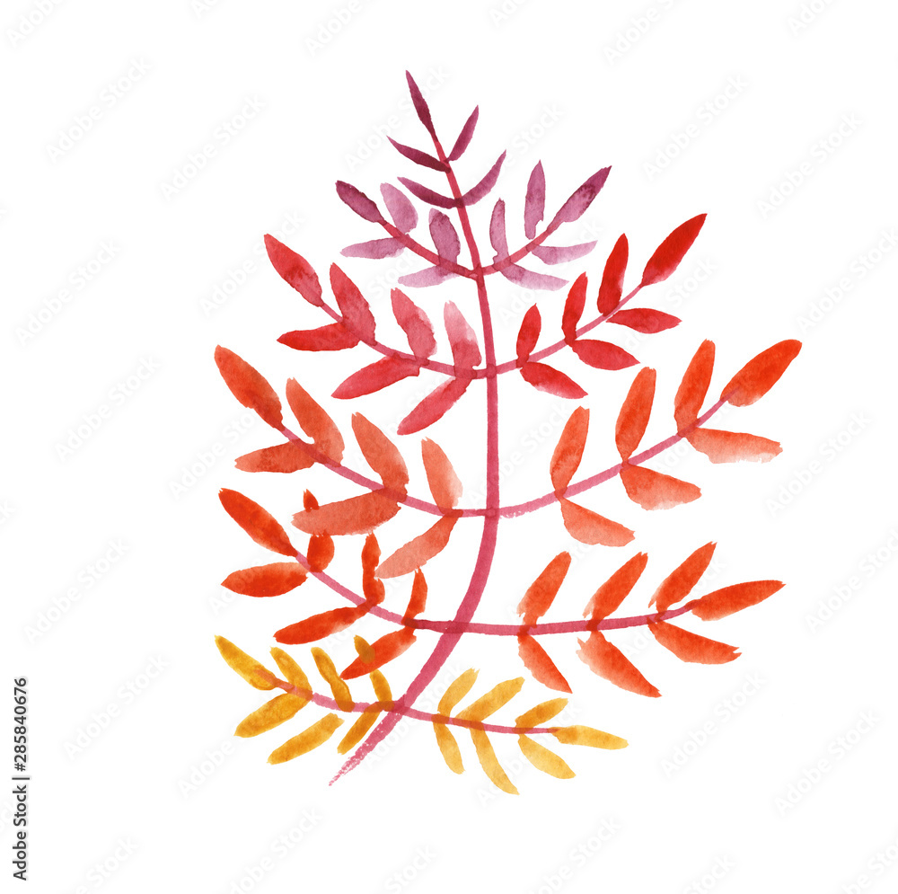 Beautiful ornamental decorative watercolor hand drawn leaf of yellow, orange, red colors on a white background, isolated