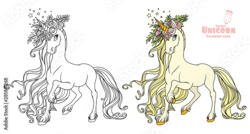 Fairytale unicorn in a magnificent wreath of roses color and outlined picture for coloring book on white background
