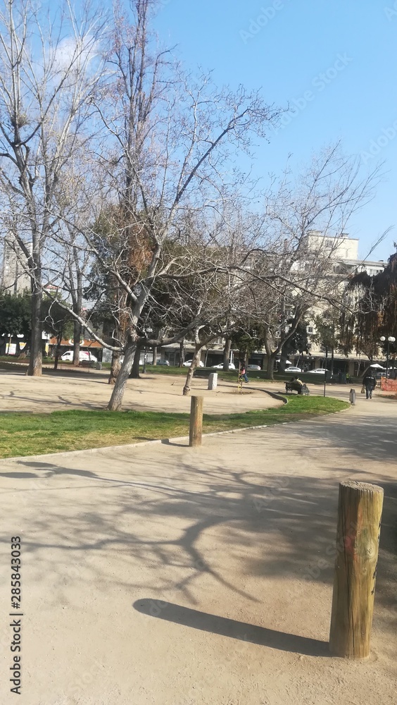 park in the city