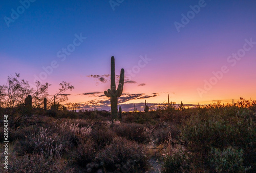 Desert Sunrise Sky In Arizona