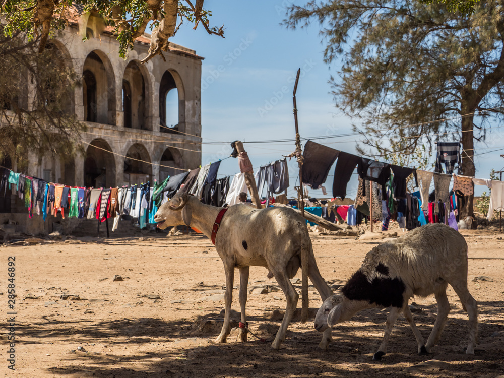 Naklejka premium Senegal, island of Goree