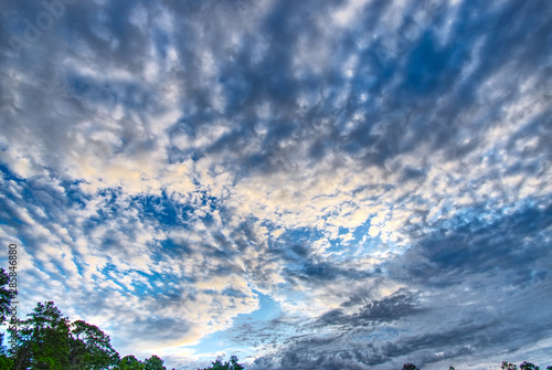 Wallpaper Mural Sunrise on the Ashley River Torontodigital.ca