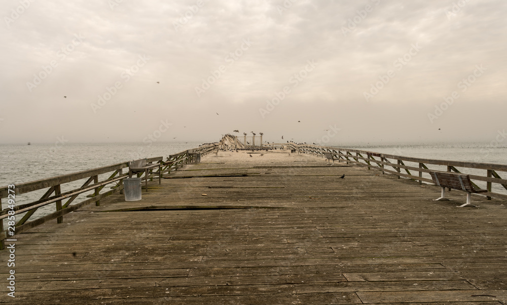View of Large Abandonned Pier With Birds Flying around