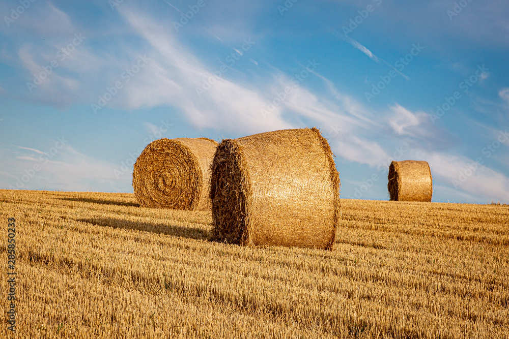 Hay bales in a field in Sussex, on a sunny summers evening