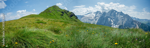 panorama sur l'herbe d'un pâturage de montagne photo