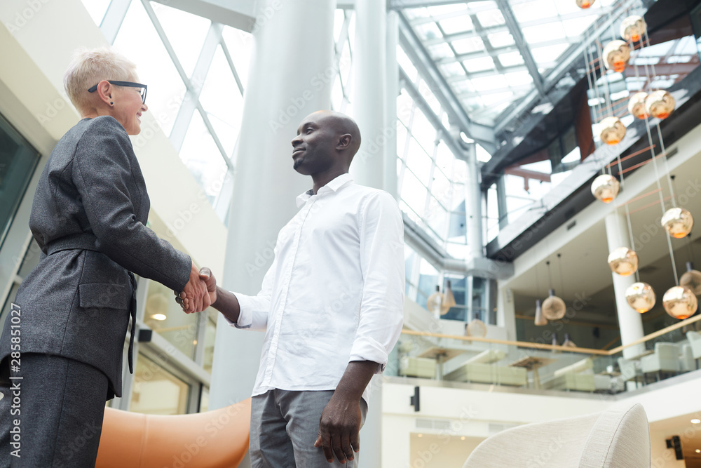 Obraz premium Low angle portrait of mature businesswoman shaking hands with African-American man after successful job interview, copy space