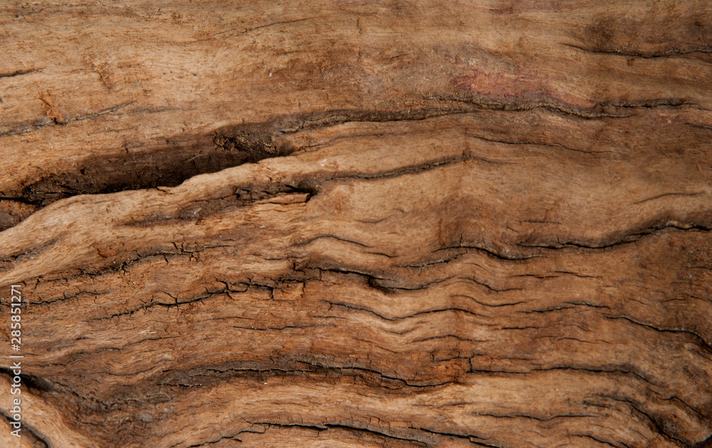 Fototapeta premium Brown wood texture background. Wood abstract background texture with cracks and scratches.