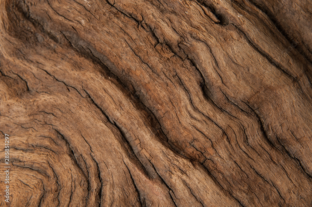 Brown wood texture background. Timber abstract background texture with cracks and scratches. Brown wood texture background. Timber abstract background texture with cracks and scratches.
