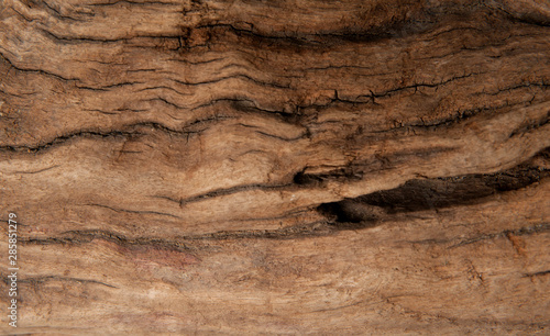 Brown wood texture background. Wood abstract background texture with cracks and scratches. © Valentina