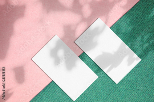 Two white rectangle business card mockups with soft shadows of tree leaves on diagonally divided duo tone pink and green paper background. Flat lay, top view photo