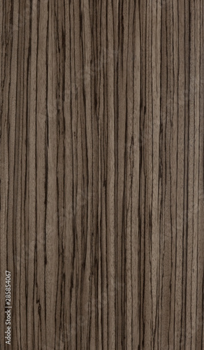 close up for wood texture
