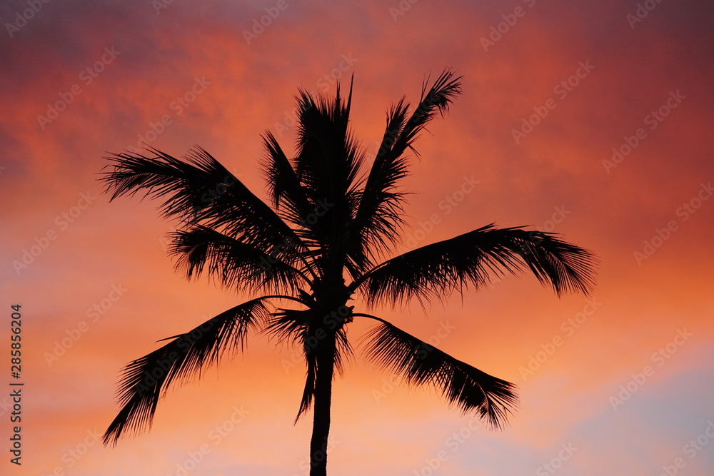 Obraz premium Honolulu - hawai - hawaii - Oahu - Sunset on magic island