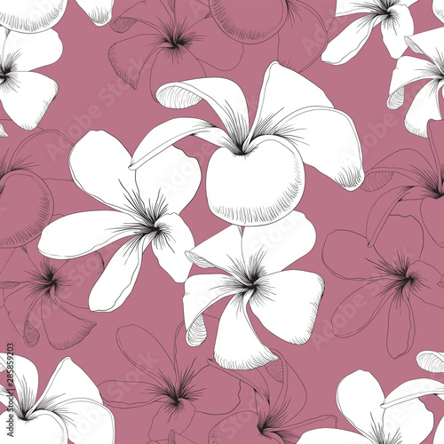Seamless pattern white Frangipani flowers pastel abstract background.Drawing line art.Vector illustration