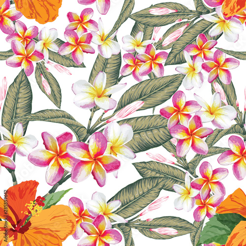 Seamless pattern pink pastel Frangipani and Hibiscus flowers on isolated white background.Watercolor Drawing Vector illustration.