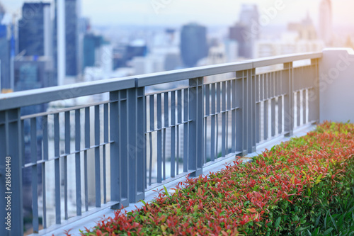 bush and fence in garden on rooftop of high-rise condominium in city at sunset, shallow depth of field