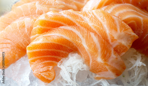 Close up Sashimi Salmon, Set sushi Japanese food. Food background concept ,Front view Copy Space.
