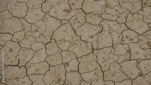 Wallpaper Mural Water drops of rain fall on cracked dry soil. The long awaited rain after a severe drought Torontodigital.ca