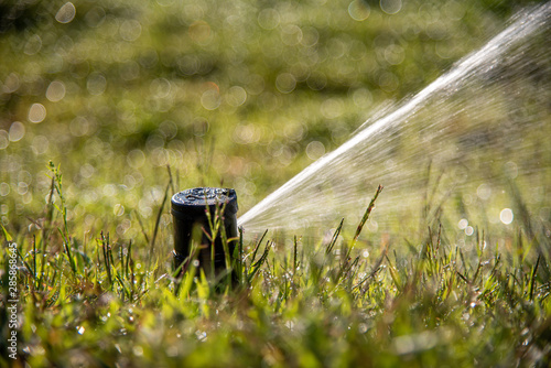 Professional Landscaping Sprinkler System Up Close