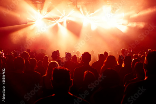 crowd of people at concert