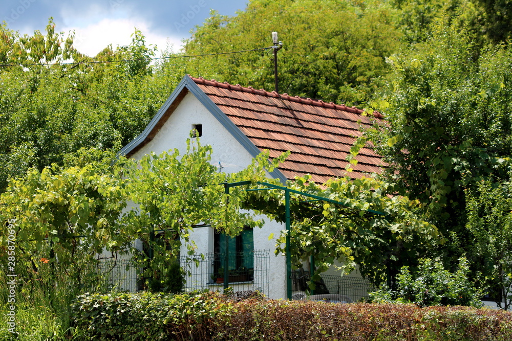 Very small old suburban family house completely overgrown with various plants and trees on warm sunny summer day Very small old suburban family house completely overgrown with various plants and trees on warm sunny summer day