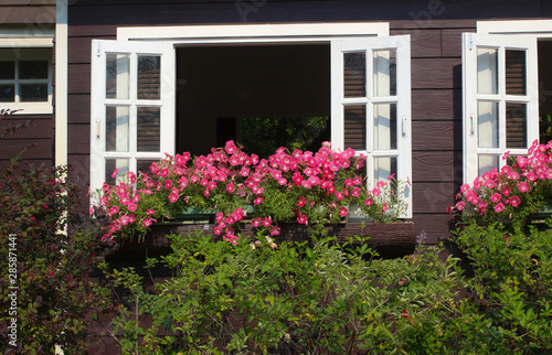 Windows with colorful flower