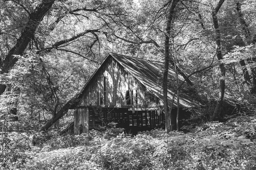 Abandoned Barn