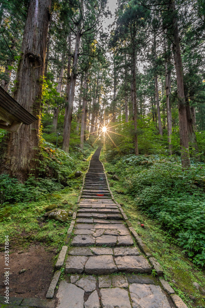 Sunset, Stone path and Sugi trees or Japanese Cedar (Cryptomeria japonica) forest at Mount Haguro, One of the three sacred mountains of Dewa Province (Dewa Sanzan). Located in Yamagata Prefecture