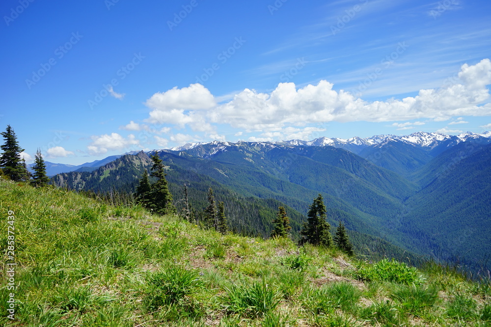 Beautiful snow capped mountains in Olympic National Park in summer in  Washington, near Seattle