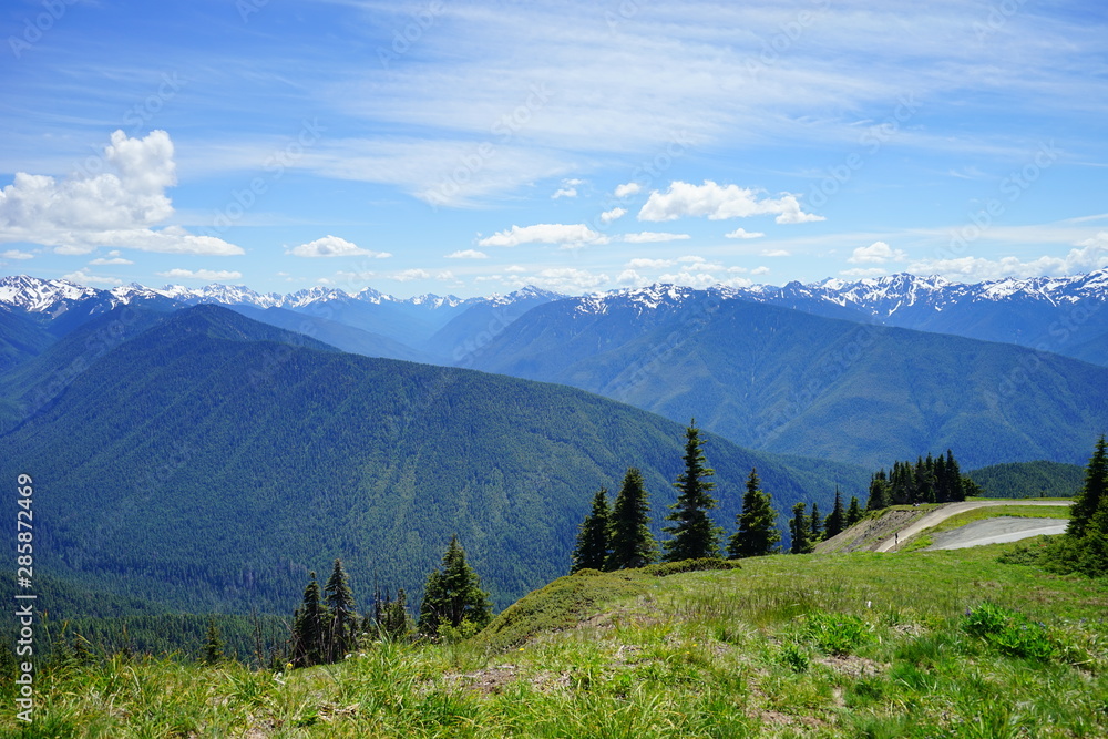 Fototapeta premium Beautiful mountains in Olympic National Park in summer in Washington, near Seattle