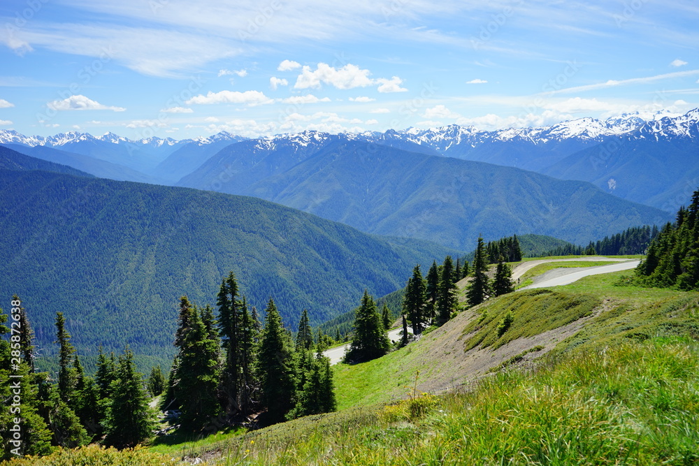 Beautiful snow capped mountains in Olympic National Park in summer in  Washington, near Seattle