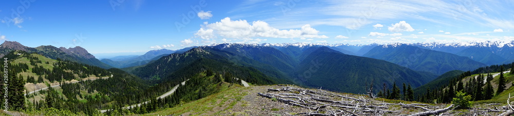 Beautiful mountains in Olympic National Park in summer in Washington, near Seattle	