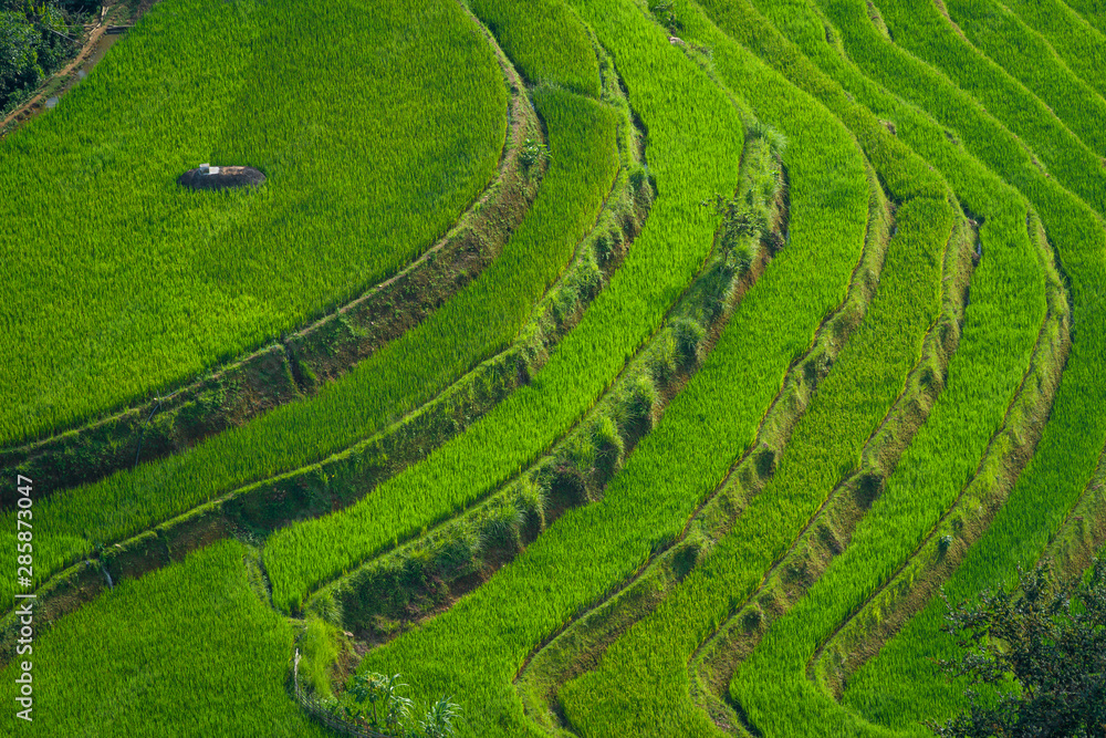 Beautiful rice terrace fields in Sa Pa town the most popular travel destinations of Northern Vietnam