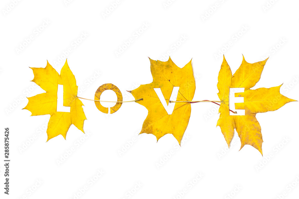 Autumn. Letters carved from wedge leaves Autumn. Letters carved from wedge leaves