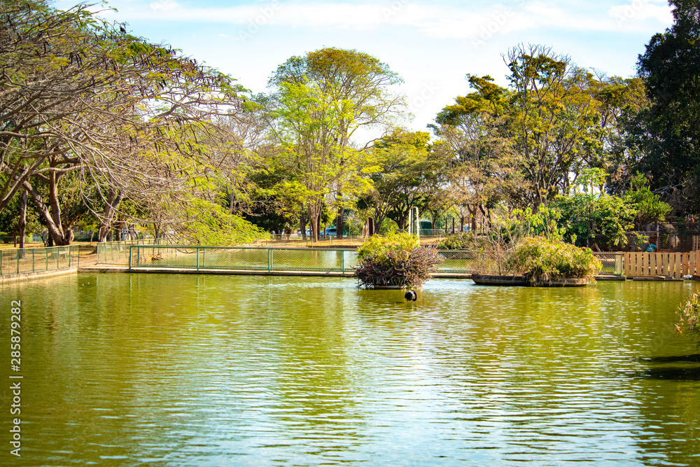 A beautiful view of Brasilia Zoo and its nature