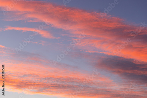 Orange clouds on a blue sky in the morning. © AlexandraDaryl