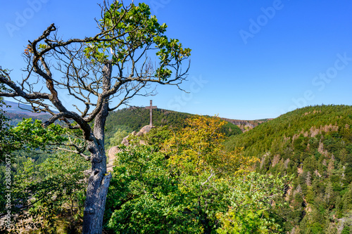 Blick in den Harz vom Ilsestein im Nationalpark