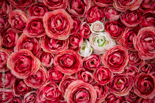 bouquet of red roses © Sumire_Sumire