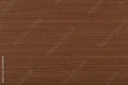 Superlative nut veneer background in stylish brown tone. High qu