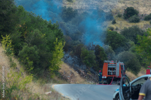 fire conflagration in a forest in Stavraki Ioannina Greece