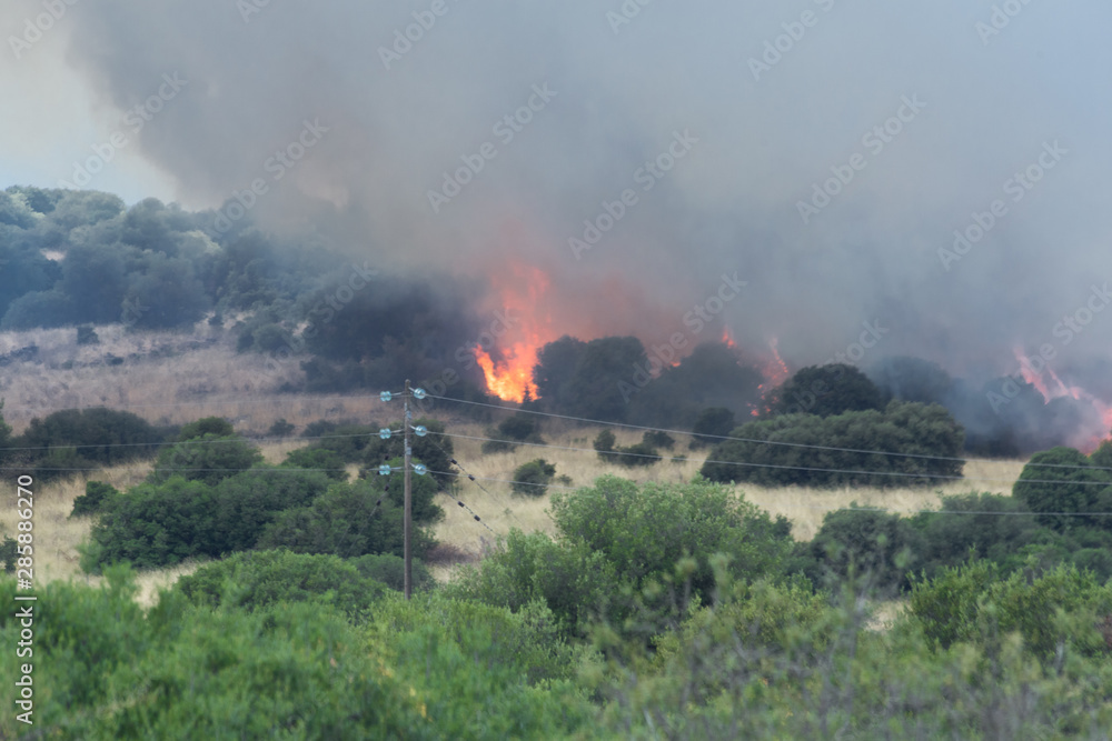 fire conflagration in a forest in Stavraki Ioannina Greece