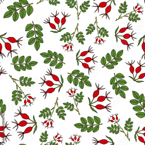 Seamless pattern with hand drawn dog rose