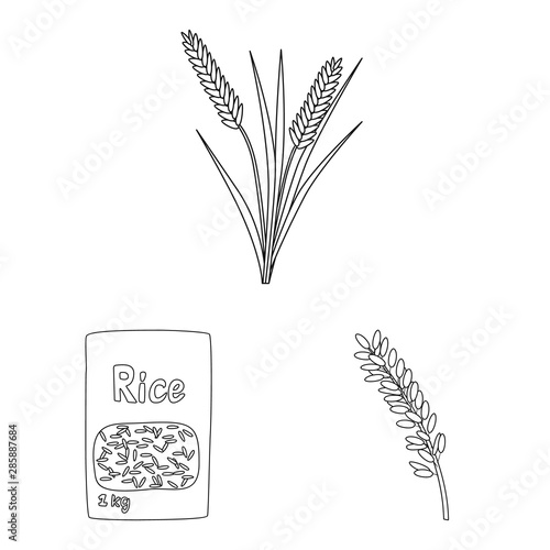 Vector illustration of diet and cooking sign. Set of diet and organic stock symbol for web.