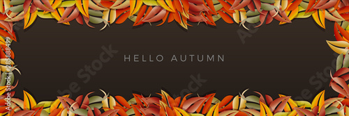 Autumn sale background, layout decorate with leaves of autumn. Poster and frame leaflet or web banner. Vector template.