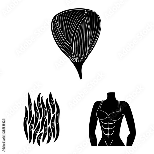 Vector illustration of human and body icon. Collection of human and cells stock symbol for web.