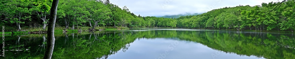 遊歩道から見た知床五湖の情景＠北海道