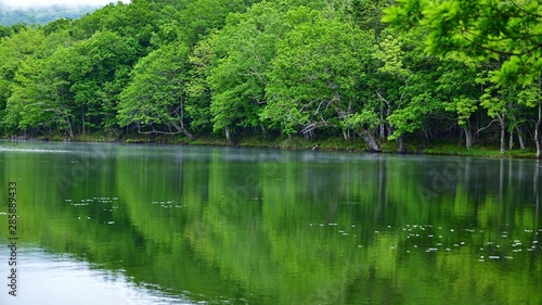 遊歩道から見た知床五湖の情景＠北海道