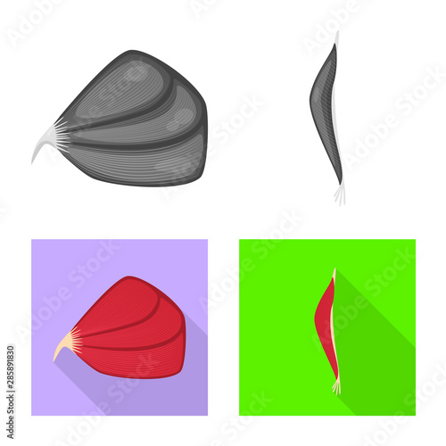 Vector design of fiber and muscular sign. Set of fiber and body vector icon for stock.